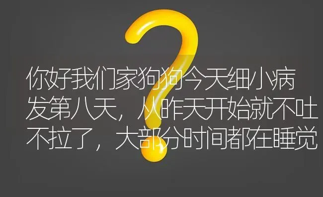 你好我们家狗狗今天细小病发第八天，从昨天开始就不吐不拉了，大部分时间都在睡觉，这样算有好转吗？ | 动物养殖问答