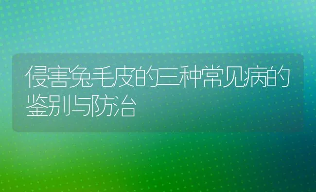 侵害兔毛皮的三种常见病的鉴别与防治 | 水产养殖知识