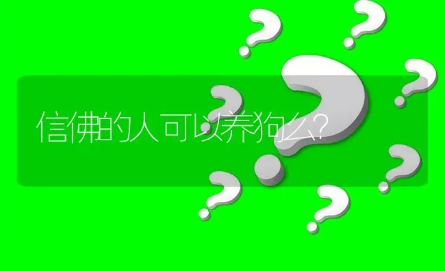 信佛的人可以养狗么？ | 动物养殖问答