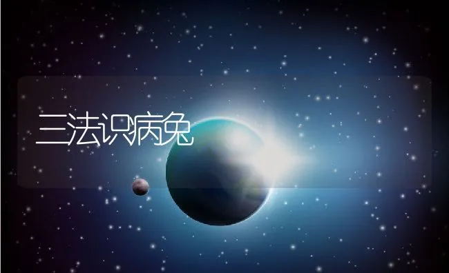 三法识病兔 | 动物养殖学堂