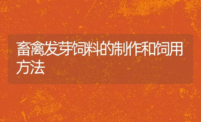 畜禽发芽饲料的制作和饲用方法 | 动物养殖饲料