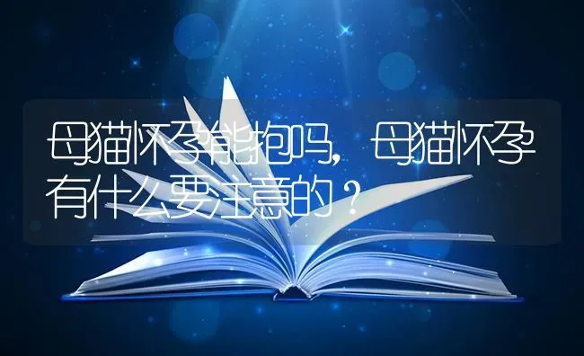 母猫怀孕能抱吗，母猫怀孕有什么要注意的？ | 动物养殖问答