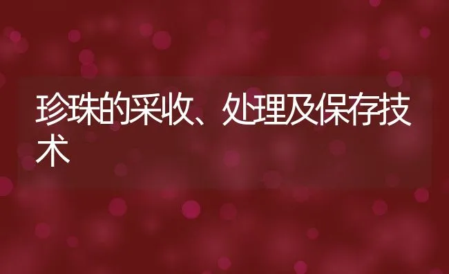 珍珠的采收、处理及保存技术 | 水产养殖知识