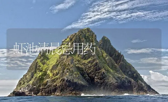 虾池清晨忌用药 | 海水养殖技术