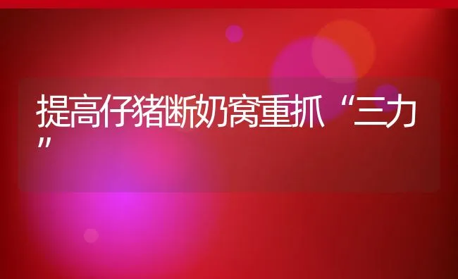 提高仔猪断奶窝重抓“三力” | 动物养殖饲料