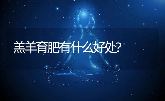 羔羊育肥有什么好处? | 动物养殖饲料