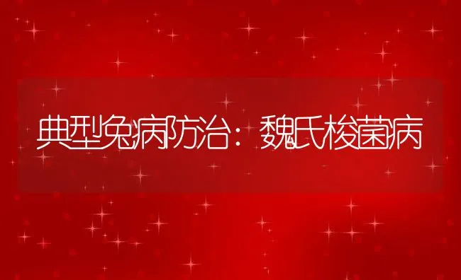 典型兔病防治：魏氏梭菌病 | 水产养殖知识