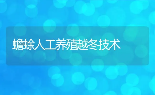 如何养殖田螺 | 水产养殖知识