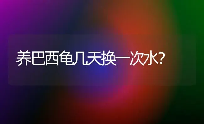 养巴西龟几天换一次水？ | 动物养殖问答