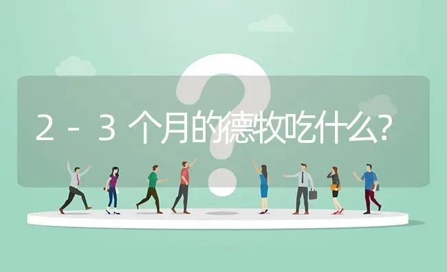 2-3个月的德牧吃什么？ | 动物养殖问答