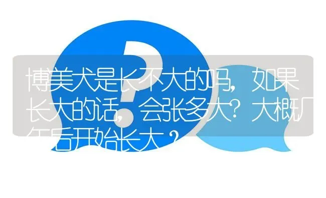 博美犬是长不大的吗，如果长大的话，会张多大?大概几年后开始长大？ | 动物养殖问答