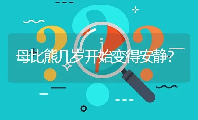 母比熊几岁开始变得安静？ | 动物养殖问答