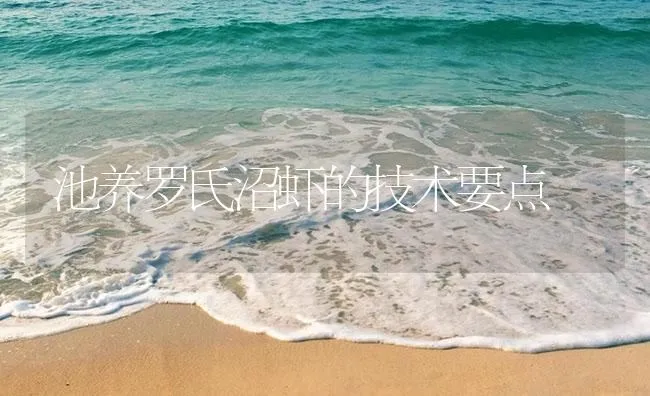 池养罗氏沼虾的技术要点 | 海水养殖技术