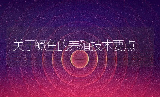 关于鳜鱼的养殖技术要点 | 动物养殖饲料