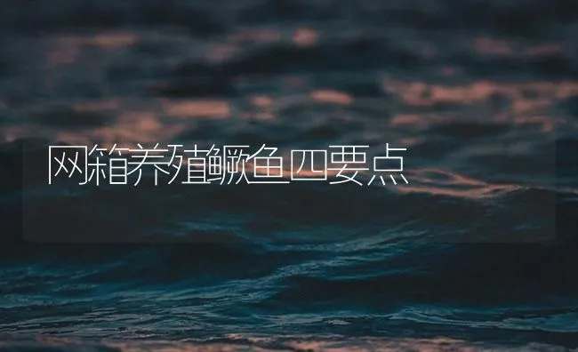 网箱养殖鳜鱼四要点 | 海水养殖技术