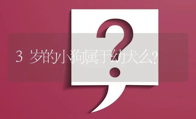 3岁的小狗属于幼犬么？ | 动物养殖问答