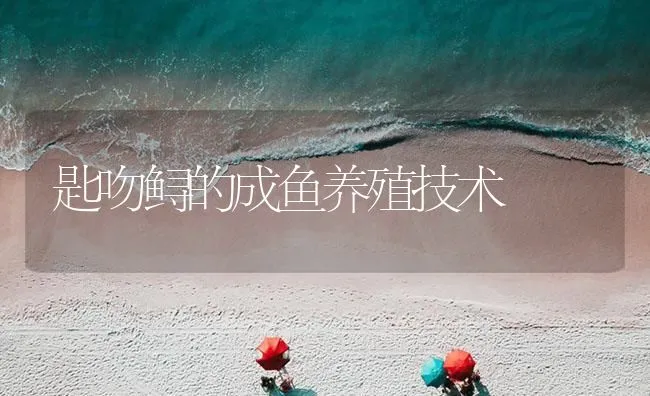 匙吻鲟的成鱼养殖技术 | 海水养殖技术