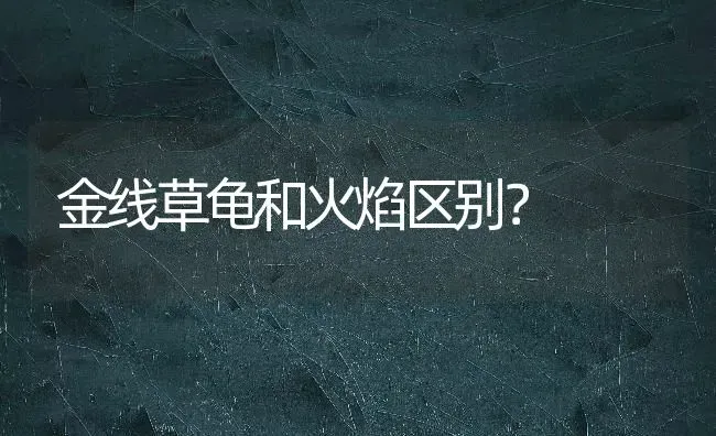 泰迪不小心吃了鸡骨头,现在排的大便都是骨头,好像没有出血,可以喝水吗？ | 动物养殖问答