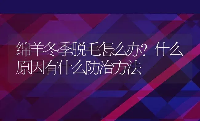 绵羊冬季脱毛怎么办？什么原因有什么防治方法 | 动物养殖百科