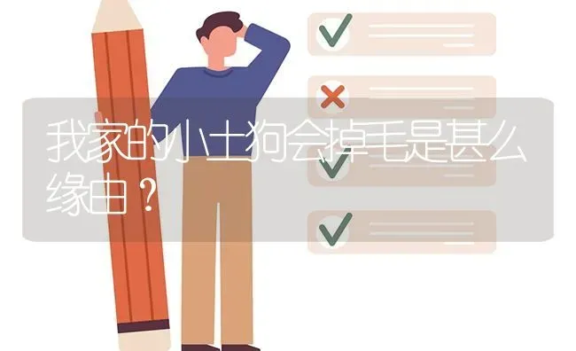 我家的小土狗会掉毛是甚么缘由？ | 动物养殖问答