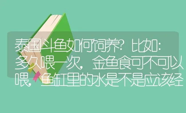 泰国斗鱼如何饲养?比如:多久喂一次，金鱼食可不可以喂，鱼缸里的水是不是应该经常换下？ | 鱼类宠物饲养