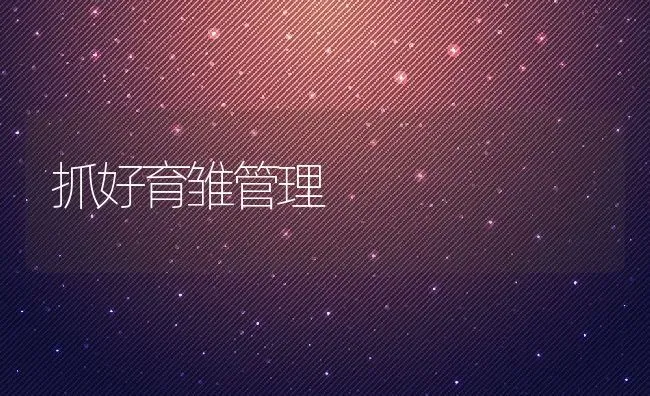 抓好育雏管理 | 动物养殖教程