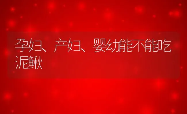 孕妇、产妇、婴幼能不能吃泥鳅 | 动物养殖百科