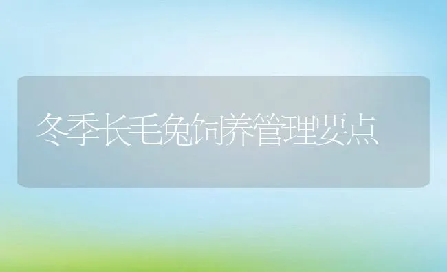 冬季长毛兔饲养管理要点 | 动物养殖饲料