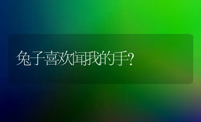 兔子喜欢闻我的手？ | 动物养殖问答