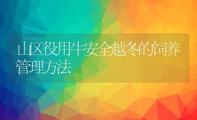 红烧鸡翅的做法 | 动物养殖学堂