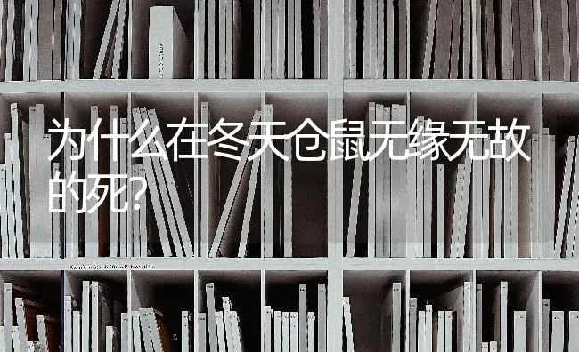 为什么在冬天仓鼠无缘无故的死？ | 动物养殖问答