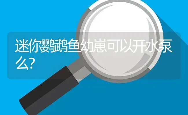 迷你鹦鹉鱼幼崽可以开水泵么？ | 鱼类宠物饲养