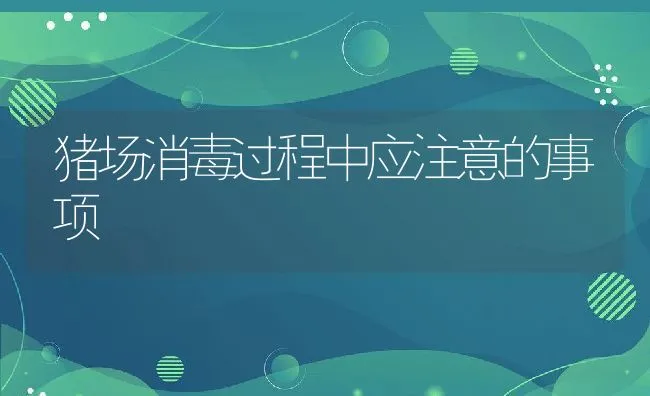 猪场消毒过程中应注意的事项 | 动物养殖学堂