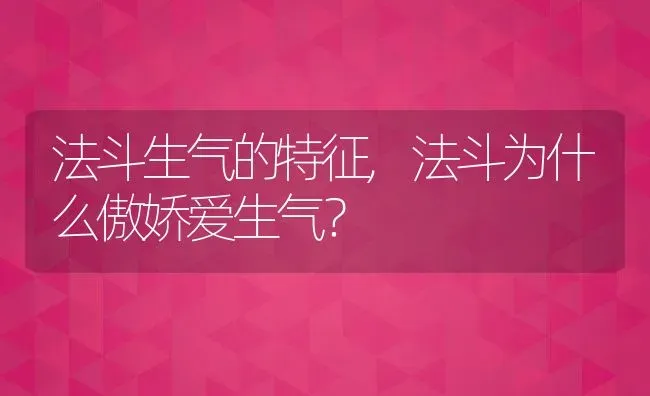 法斗生气的特征,法斗为什么傲娇爱生气？ | 宠物百科知识