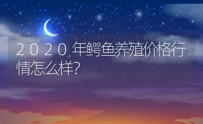 2020年鳄鱼养殖价格行情怎么样？ | 动物养殖百科