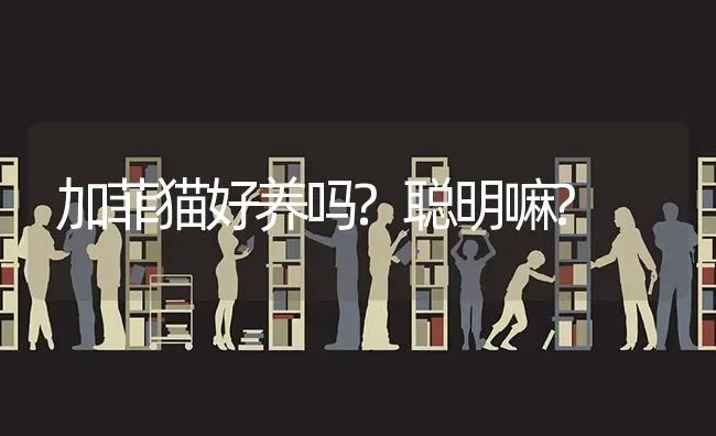 加菲猫好养吗?聪明嘛? | 动物养殖问答