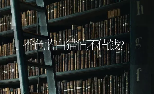 金毛8个月大了,怎么能养好金毛呢？ | 动物养殖问答