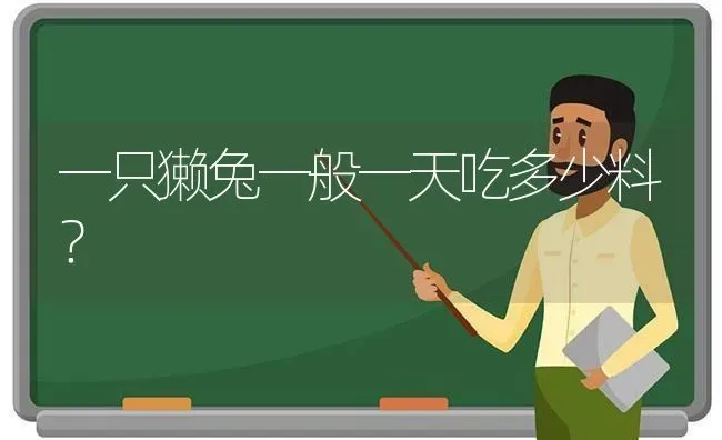 一只獭兔一般一天吃多少料？ | 动物养殖问答