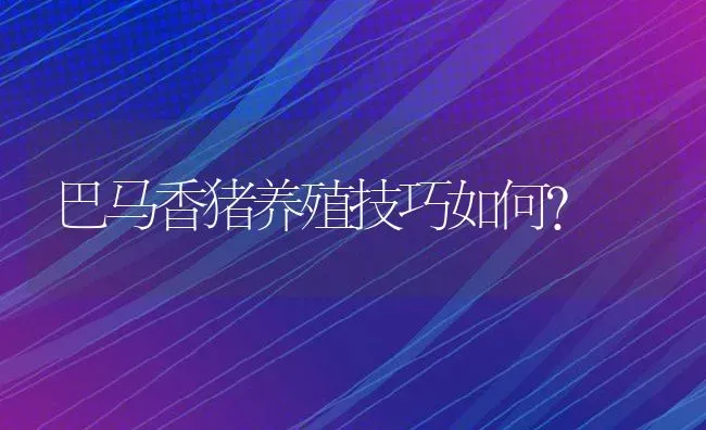 巴马香猪养殖技巧如何？ | 动物养殖百科