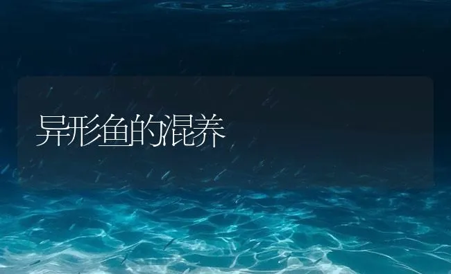 异形鱼的混养 | 海水养殖技术