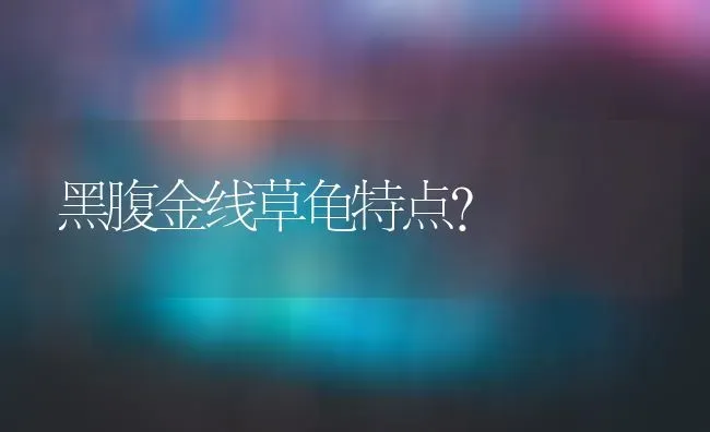 澳洲梗的优缺点？ | 动物养殖问答