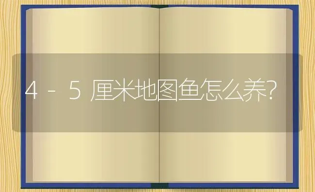 4-5厘米地图鱼怎么养？ | 鱼类宠物饲养