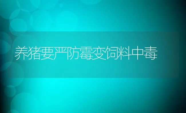 养猪要严防霉变饲料中毒 | 动物养殖饲料