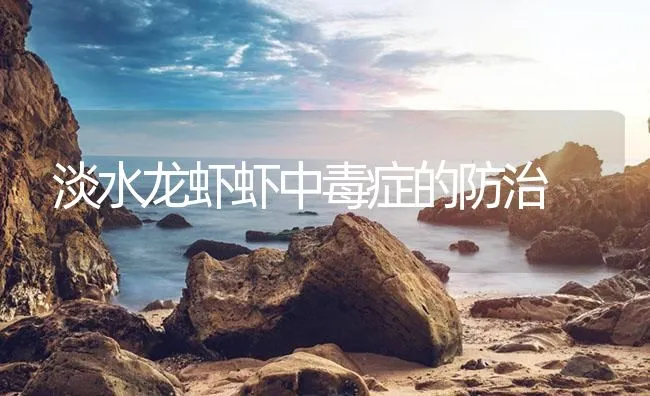 淡水龙虾虾中毒症的防治 | 海水养殖技术