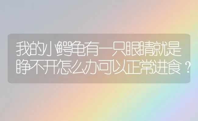 我的小鳄龟有一只眼睛就是睁不开怎么办可以正常进食？ | 动物养殖问答