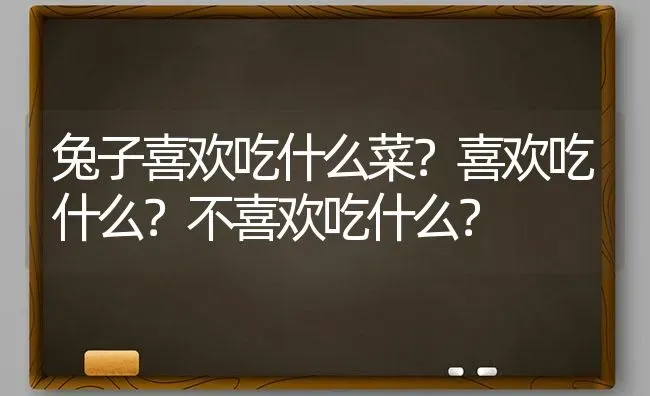 兔子喜欢吃什么菜？喜欢吃什么？不喜欢吃什么？ | 动物养殖问答