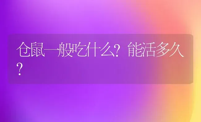 仓鼠一般吃什么?能活多久？ | 动物养殖问答