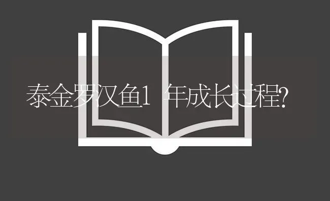 泰金罗汉鱼1年成长过程？ | 鱼类宠物饲养