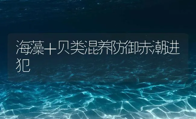 海藻＋贝类混养防御赤潮进犯 | 海水养殖技术