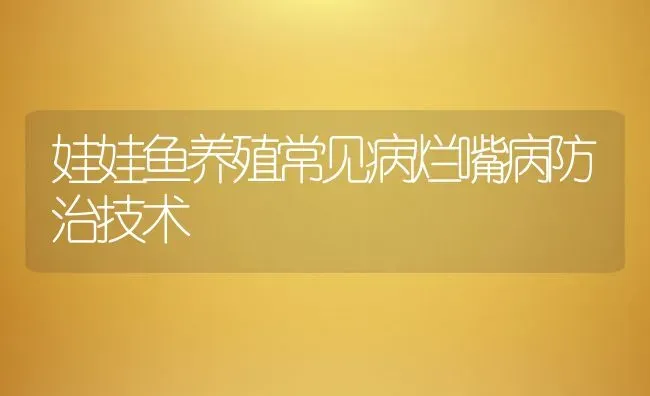 娃娃鱼养殖常见病烂嘴病防治技术 | 动物养殖教程